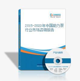 2015-2020年中国助力泵行业调查及市场前景咨询